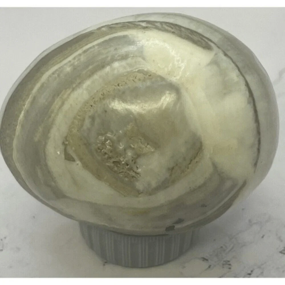 Ocean Jasper Palm Stone Egg 190g‎ Polished Natural Crystal Grey Cream Madagascar